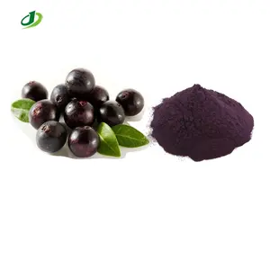 Acai bubuk ekstrak buah Berry 10:1 antosianidins 25%