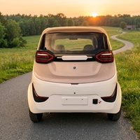 Nouvelle Voiture Électrique Mini 4 Places à Basse Vitesse, EV 5 Portes, Hayon Fermé, Cabine Fermée, Usage Domestique, 4 Roues, Autonomie 101-200km