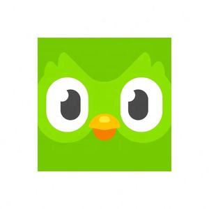 Compte Premium Duolingo Pro 1 an, activez votre propre compte, applicable dans le monde entier - Product Image 3