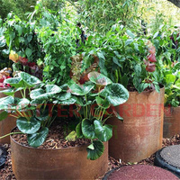 Bordure de jardin corten bordure de paysage en acier pour Articles de jardinage