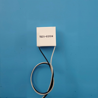 Refroidisseur thermoélectrique à semi-conducteurs Peltier 20x20 TEC103108 03105 03106 3.7V Module Peltier