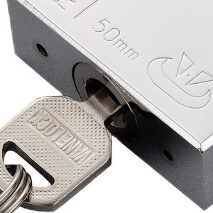 RICHDOOR 50mm Nouvelle Arrivée <span class=keywords><strong>Cadenas</strong></span> de Sécurité avec Clés Maîtresses Fer Vente Directe en Gros Serrures Antivol - Product Image 6
