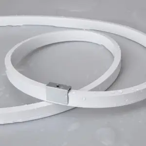 OEM ODM Silikon Extrusion Neon Seil IP68 12 V 24 V Led flexibles Neon-Atmosphärenlicht Neon-Flex-Lichter