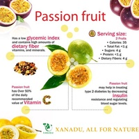 Gefreeze-droogde passievruchten 0 SUIKER 0 ZETMEEL 0 DEXTRINE Blokjes Pure Vruchtvlees IJsgekoelde Fruitthee Ingrediënt Zure Smaak 5A Kwaliteit