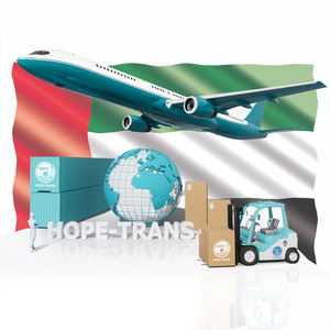 DDP agente di spedizione dalla cina ai servizi di logistica dello spedizioniere aereo UAE Dubai - Product Image 2