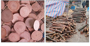 Liste Graffiti bricolage gros copeaux <span class=keywords><strong>de</strong></span> bois ovale modèle matériel copeaux <span class=keywords><strong>de</strong></span> bois brut peint à la main copeaux <span class=keywords><strong>de</strong></span> bois - Product Image 3