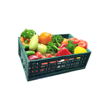 Caisse en plastique pliable durable et recyclable pour le stockage des fruits et légumes, caisse en maille PP pliable pour utilisation à la ferme, caisse empilable