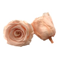 24 roses de luxe cadeaux de la Saint-Valentin roses éternelles conservées en forme de dôme fleur touche réelle fraîche