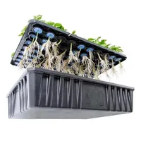 Éponges de culture hydroponique en mousse EVA, sacs de culture sans terre pour serre, fixateur de racines pour légumes, 10/50 pièces