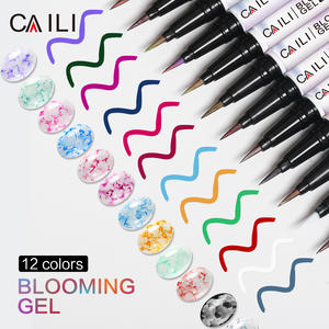 2ml 12 colores Nail Painting Pen Blossom <span class=keywords><strong>Gel</strong></span> Pen Nail Art Design Beauty Art Design OEM/ODM Custom 3D Nail Polish Pens - Product Image 2
