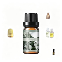 Huile essentielle d'eucalyptus riche en cineole, huile essentielle naturelle d'eucalyptus globulus pour l'aromathérapie, diffuseur cosmétique
