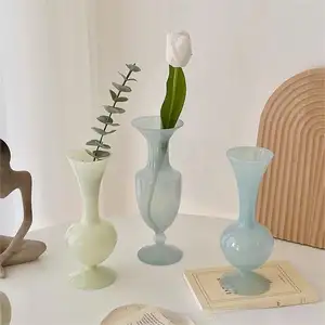 2024最新玻璃花瓶彩色花瓶小装饰玻璃器皿产品创意设计家居奢华装饰