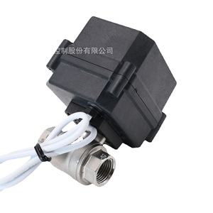 <b>Miniature</b> Electric Valve DN15 Threaded Water Flow Control Industrial Ball Valve A100-T15-S2-C - Product Image 3