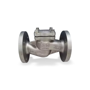 Nuevo Válvula de Retención Original Boachem-rxa con Extremos Bridados DN15-400 PN10-40, Función Anti-reflujo, Bajo Precio - Product Image 3