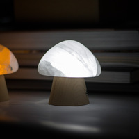 Magnifique Lampe en Gypse Faite à la Main, Diffuseur d'Arômes en Pierre, Huile Parfumée Effet Réel, Fleur, Ange, Musique, Amour