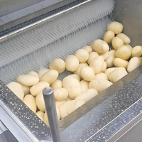 Anxu Volledig Automatische Commerciële Kokosnoot Aardappel Kiwi Rode Dadels Fruit Groente Borstel Haarroller Pomp Reinigingsmachine