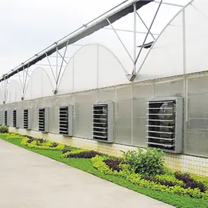 전문 제조 저렴한 라운드 아치 정원 텐트 수경 시스템 터널 온실