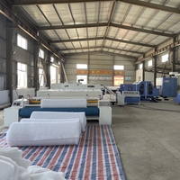Ligne de production de rouleaux de fibres de rembourrage en polyester Seanoel pour l'industrie textile domestique