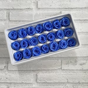 Rose éternelle conservée, 20 à 21 pièces, vente en gros, haute qualité, éternité, rose naturelle à toucher réel, conservée - Product Image 1