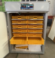 Couveuses automatiques électriques multifonctionnelles pour œufs et incubateurs pour pintades à prix abordables