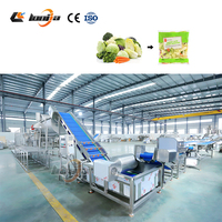 500kg/u Chicory Groentewasmachine vortex Groentewasmachine Broccoli Spinazie Salade Reinigingslijn