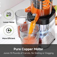 Extracteur de jus électrique à froid en acier inoxydable, grande goulotte d'alimentation, nettoyage facile, mastication lente, triple filtre, usage domestique