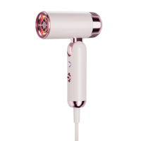 Sèche-cheveux professionnel personnalisé à grande vitesse, ionique, compact, pliable, BLDC 1000W, avec concentrateur, protection thermique, pour hôtel