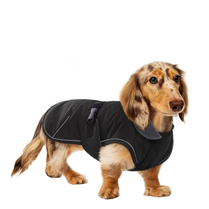 Qiqu personalizado nuevo diseñador Dachshund chaqueta de invierno para perros abrigo de lana de poliéster reflectante <span class=keywords><strong>impermeable</strong></span> reflectante <span class=keywords><strong>perro</strong></span> <span class=keywords><strong>salchicha</strong></span> - Product Image 1