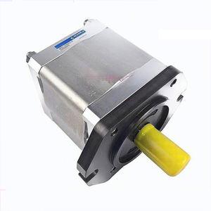 Aikele ECKERLE S196 Servo hydrauliköl pumpe EIPC3-032RA23-10 für Spritz gieß maschine Zahnradpumpe Elektrische Ausrüstung - Product Image 2