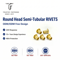 Rivets semi-tubulaires à tête ronde en cuivre TianFang pour prototypes d'assemblages de dissipateurs thermiques, finition étamée, approvisionnement stable par lots