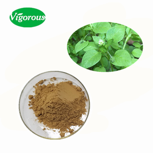 Probe zur Verfügung gestellt Natural Für die Gesundheit <span class=keywords><strong>Stellaria</strong></span> media Chick weed Extrakt - Product Image 1