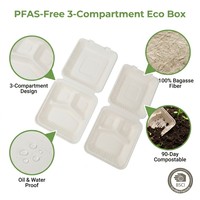 Boîte en bagasse de canne à sucre de 8 pouces, micro-ondable, compostable, écologique, pour la livraison de repas, les plats à emporter, la restauration, conteneur alimentaire recyclable