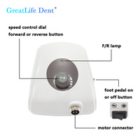 Greatlife Dent Prime 221 50000RPM Micromoteur haute efficacité, micro-perceuse manuelle pour laboratoire dentaire et polissage de bijoux