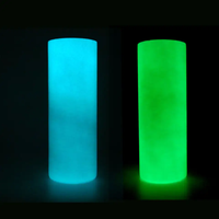 Bouteille d'eau en acier inoxydable blanche de 20 oz, droite et étroite, vierge pour sublimation, lumineuse dans le noir, avec paille