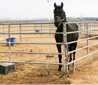 12 pies portátil de alta resistencia de metal galvanizado pluma redonda ganado Corral ganado granja caballo patio valla paneles