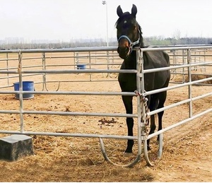 12 Ft Portable Heavy Duty Galvanized Metal <strong>Round</strong> <strong>Pen</strong> Cattle Corral Livestock Farm Horse Yard Fence <strong>Panels</strong> - Product Image 2