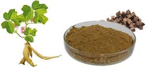 Melhor Preço Extrato de Pueraria de Alta Qualidade Extrato de Pueraria Mirifica Pó de Puerarina Grau Alimentício 100% Puro em Recipiente Plástico - Product Image 2