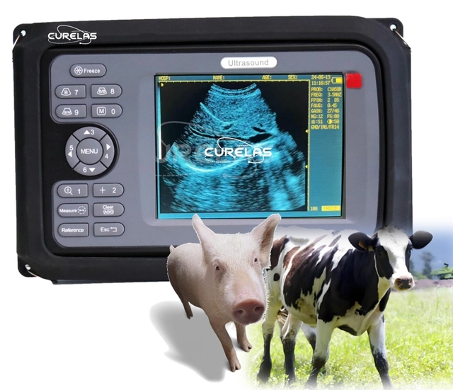 Medical Wholesale 5.7 Inch High Resolution Display Handheld Veterinary Ultrasound Scanner Portable Veterinary Ultrasound
