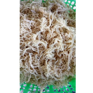 Meilleur Prix Eucheuma Cottonii (Laver) Variété séchée assaisonnée dans un emballage en boîte - Product Image 1