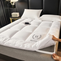 Hypoallergener 100% Polyester/Baumwolle Wasserdichter Antibakterieller Matratzenauflage Dick Queen-Size für Hotel & Heimgebrauch