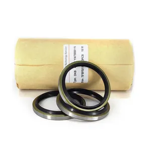 DKB Series hydraulic pump oil seal for dump truck engine half shaft oil seal ptfe hydraulic piston seal suppliers