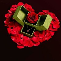 China Factory Direkt verkauf Kunden spezifisches Logo Starre magnetische wieder verwendbare Schönheit Bunte umwelt freundliche Blumen Geschenke Papier box