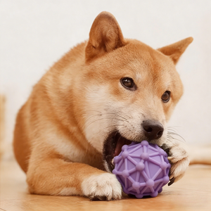 Palla Giocattolo Ecologica per Cani di Piccola e Media Taglia, Vendita all'Ingrosso, Palla Giocattolo in Materiale Vinilico Simulato - Product Image 2