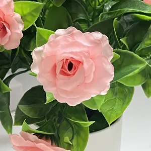 Nuovo Arrivo: Bonsai da Scrivania, Decorazione per la Casa, Fiori Artificiali in Vaso, 21cm, 14 <span class=keywords><strong>Rose</strong></span> con Vaso in Plastica - Product Image 5