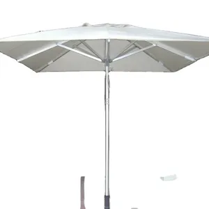 정연한 모양 일정한 명반 안뜰 우산