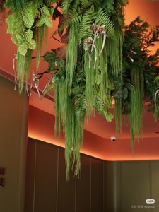 Vignes suspendues murales durables simulées de fougères vertes pour <span class=keywords><strong>la</strong></span> décoration de plafond et de devanture de magasin <span class=keywords><strong>Plante</strong></span> de type gazon artificiel - Product Image 6
