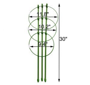 Cages de soutien pour plantes de 18 pouces avec 3 anneaux réglables, lot de 3 (30 pouces) - Product Image 4