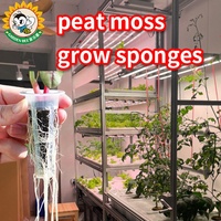 Jardin Abeille Plante Croissance Tourbe Noix De Coco Graine Démarrage Granulés De Coir Bloc De Pépinière Smart Coco Tourbe Mousse Bloc de sol avec Nutrition