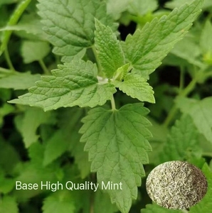 Hierba gatera gruesa fina y fresca natural 100% al por mayor, hojas secas a granel, cortadas, los mejores juguetes para mascotas de China - Product Image 6