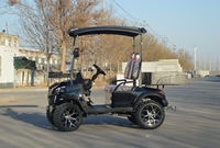 Carrito de Golf Eléctrico de Alta Calidad con 2 Asientos, Homologado para Circular por la Calle, con Batería de Litio y Neumáticos Todoterreno para Turismo